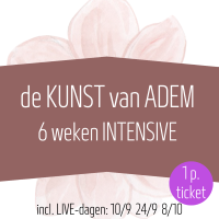 Ticket WORKSHOP: 3 dagen -